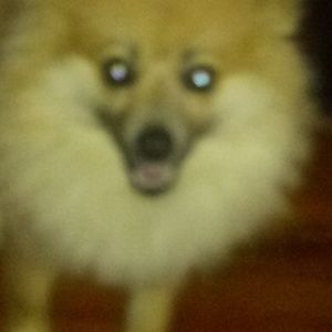 Meet your Posher, Aisha